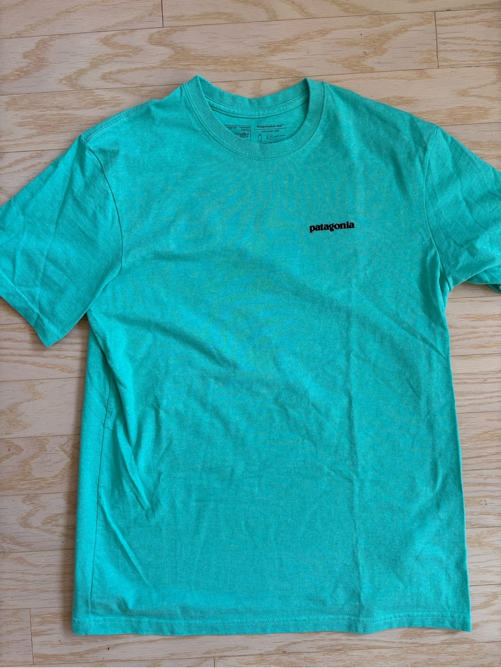 Patagonia Short Sleeve Crew T-Shirt in Aqua Green with Chest Logo